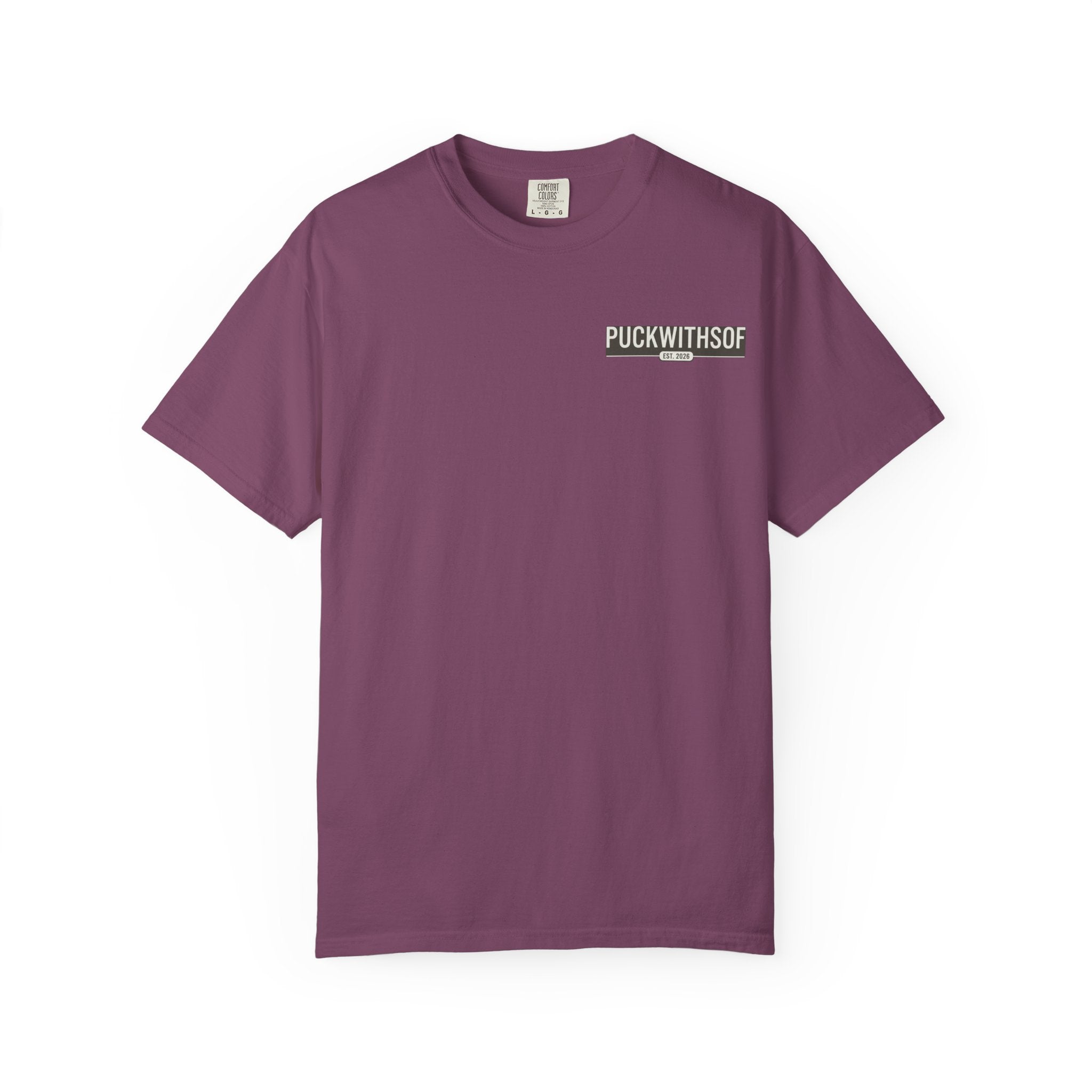 Hockey Feels Better Than Most Things PWS T-Shirt